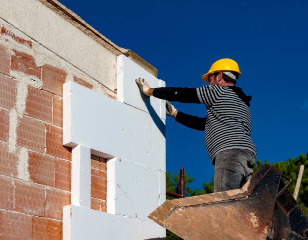 Best Insulation Repair Services  in Morehead City, NC