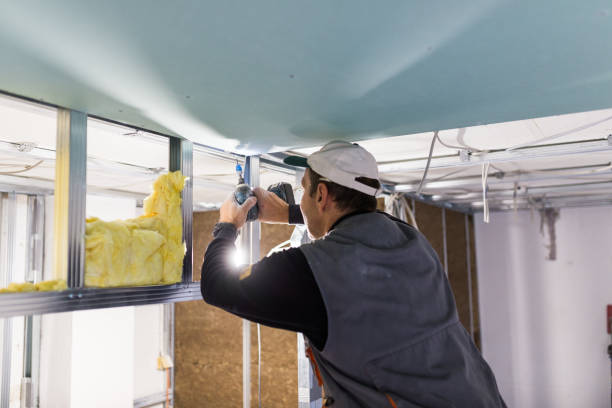 Best Cellulose Insulation  in Morehead City, NC