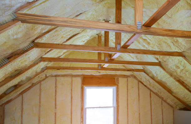 Best Insulation for Commercial Buildings  in Morehead City, NC