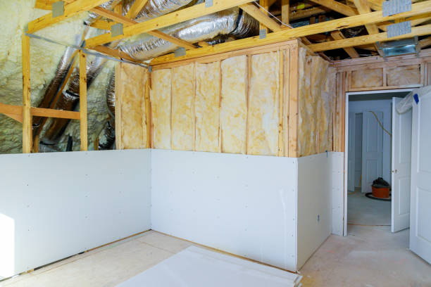 Best Home Insulation Services  in Morehead City, NC
