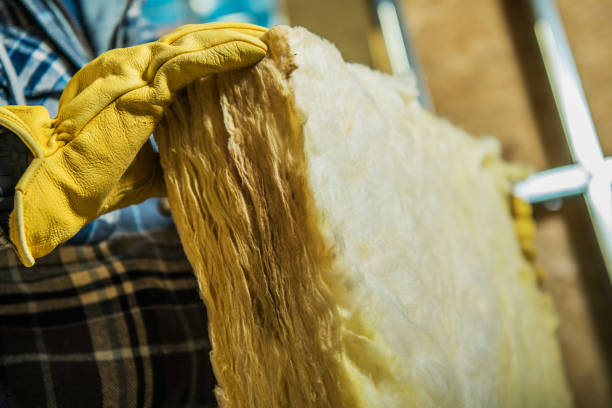 Best Affordable Insulation Services  in Morehead City, NC