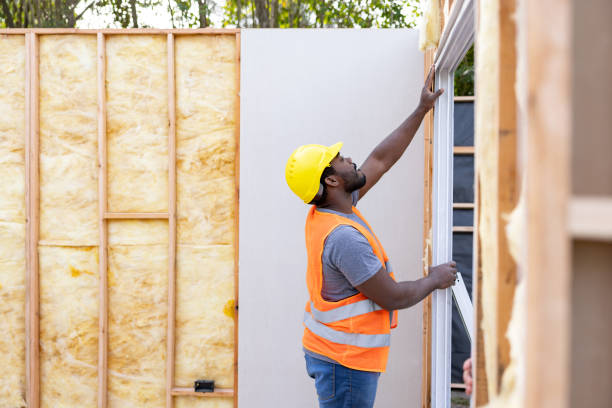 Best Insulation Removal  in Morehead City, NC