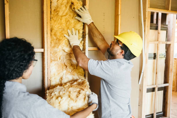 Best Commercial Insulation Contractor  in Morehead City, NC