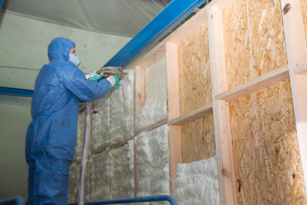 Insulation Repair Services in Morehead City, NC