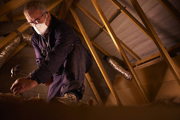 Reliable Morehead City, NC Insulation Contractor Solutions